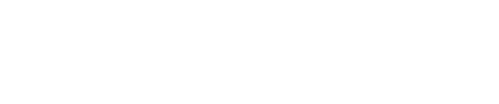 Novarix Logo